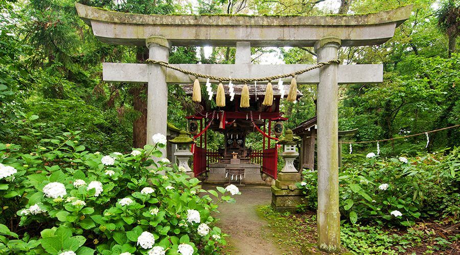 会津大国魂神社｜伊佐須美神社｜会津美里町
