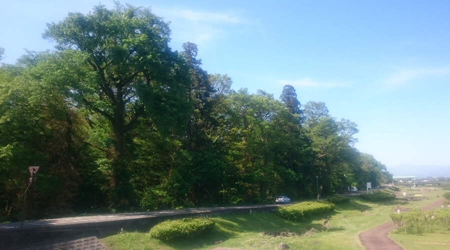 伊佐須美神社の社叢｜伊佐須美神社｜会津美里町