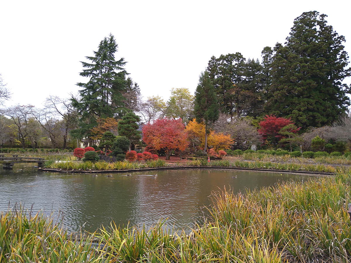 あやめ苑【秋】｜あやめ苑｜会津美里町