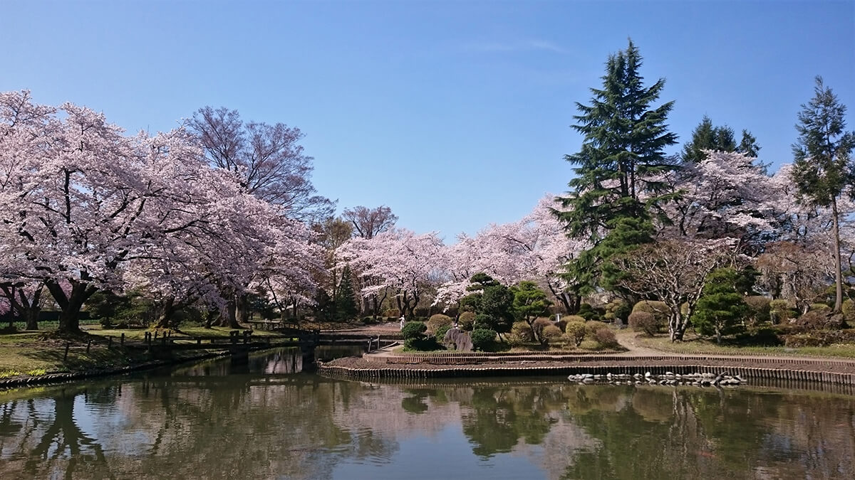 あやめ苑【春】｜あやめ苑｜会津美里町