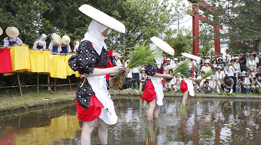 7月 | 御田植祭 | 伊佐須美神社